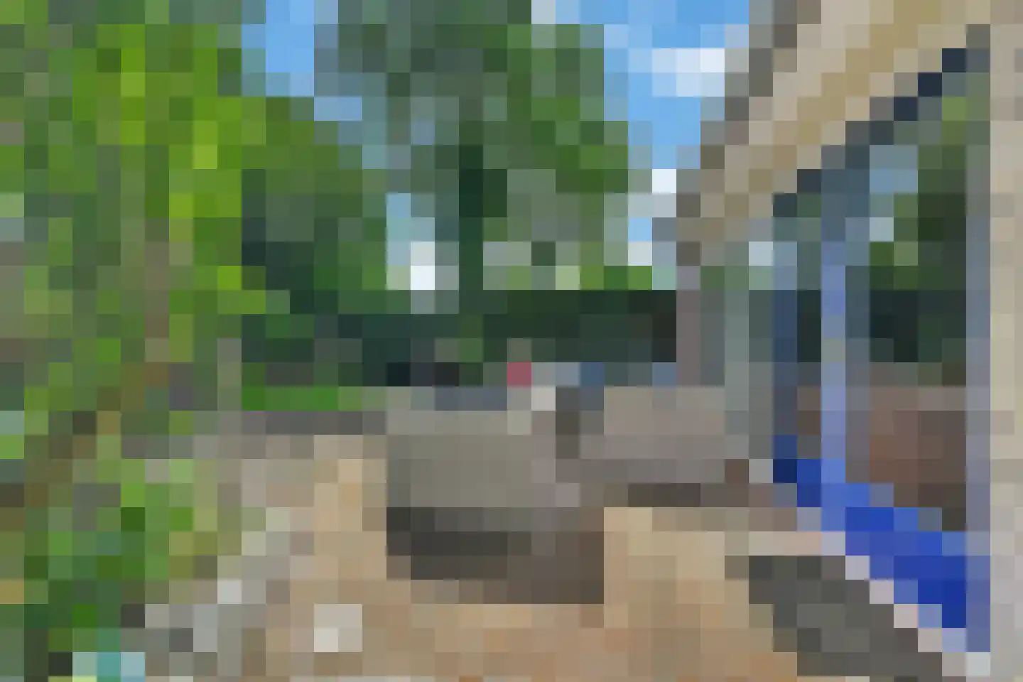 Kerkuil 35 Emmen thumbnail 28