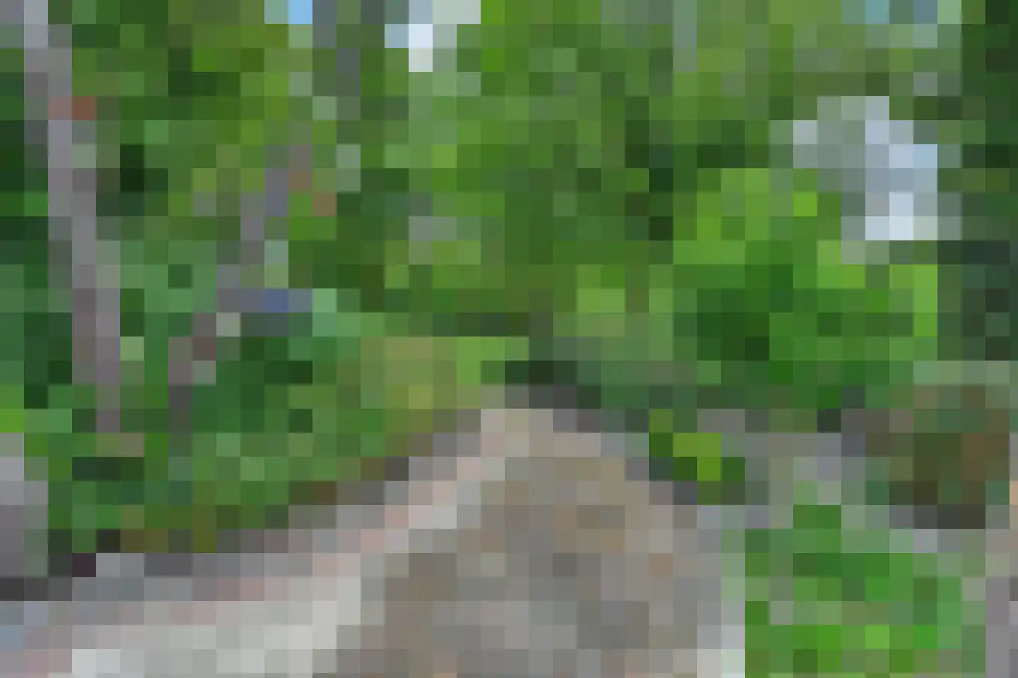 Kerkuil 35 Emmen thumbnail 31