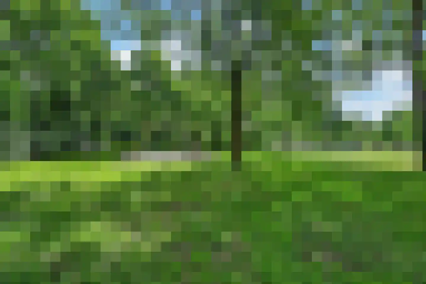 Kerkuil 35 Emmen thumbnail 33