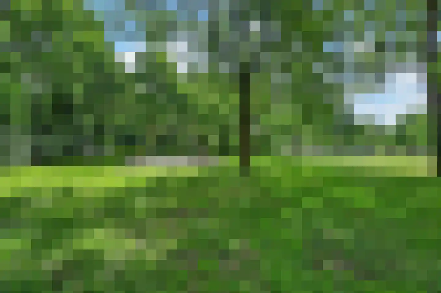 Kerkuil 35 Emmen thumbnail 37