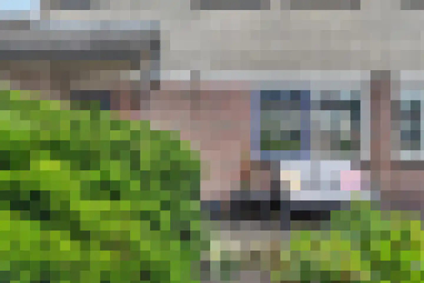 Kerkuil 35 Emmen thumbnail 38