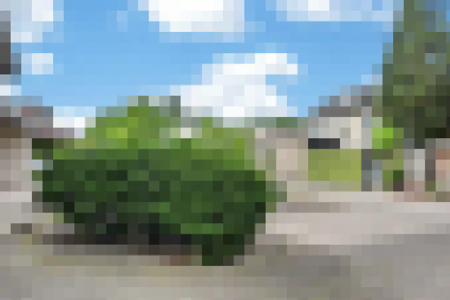 Kerkuil 35 Emmen thumbnail 40