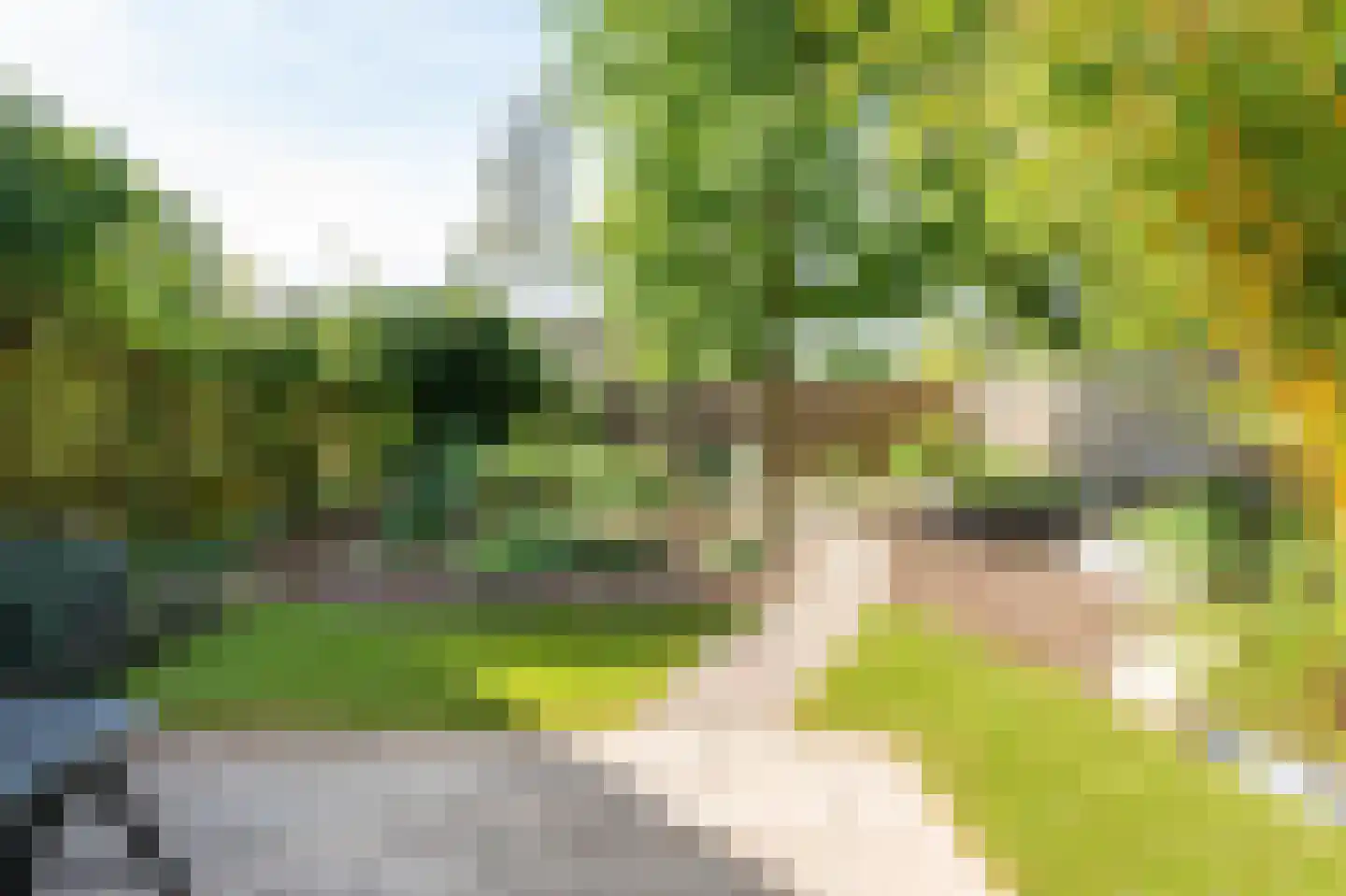 Kerkuil 44 Emmen thumbnail 28