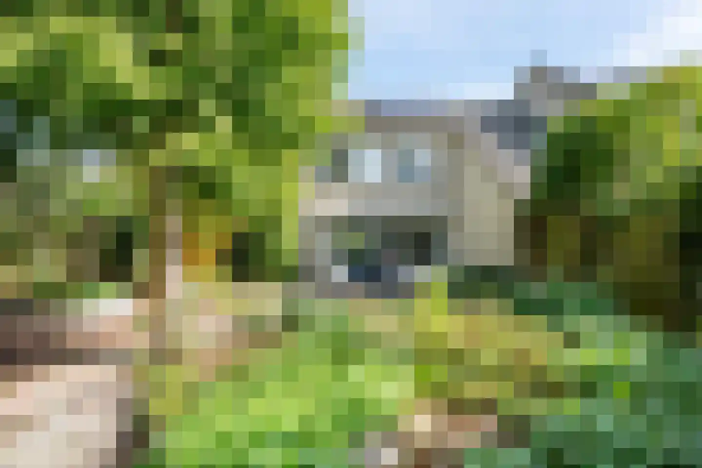 Kerkuil 44 Emmen thumbnail 31