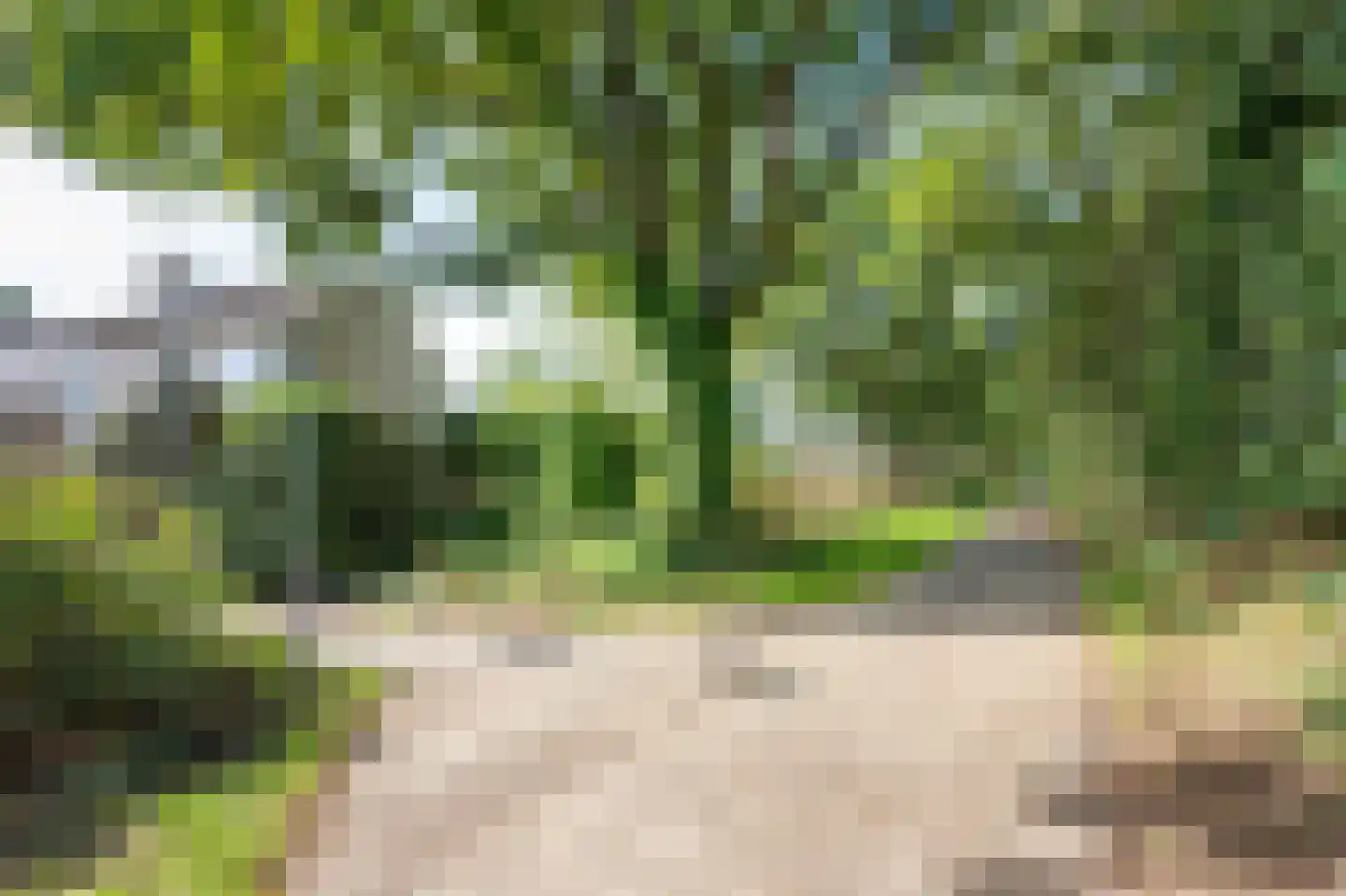 Kerkuil 44 Emmen thumbnail 36