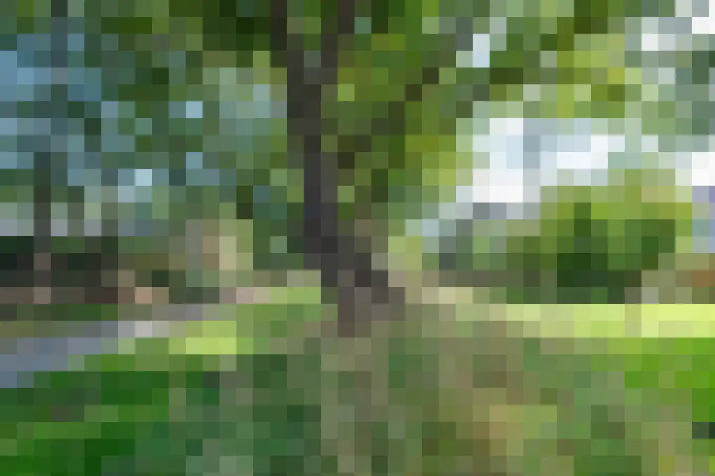 Kerkuil 44 Emmen thumbnail 37