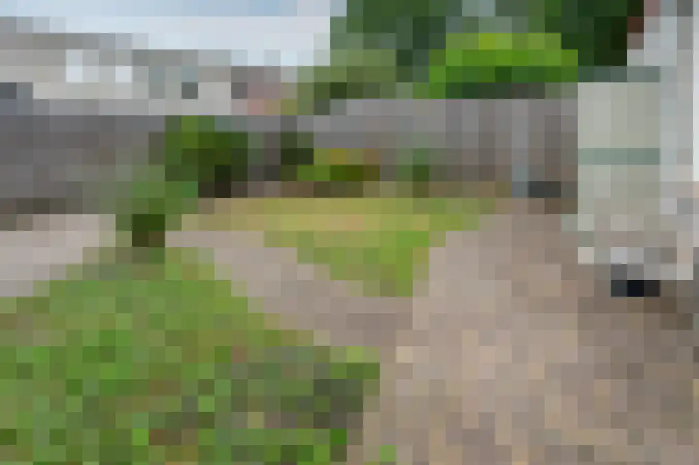 Kerkuil 60 Emmen thumbnail 23