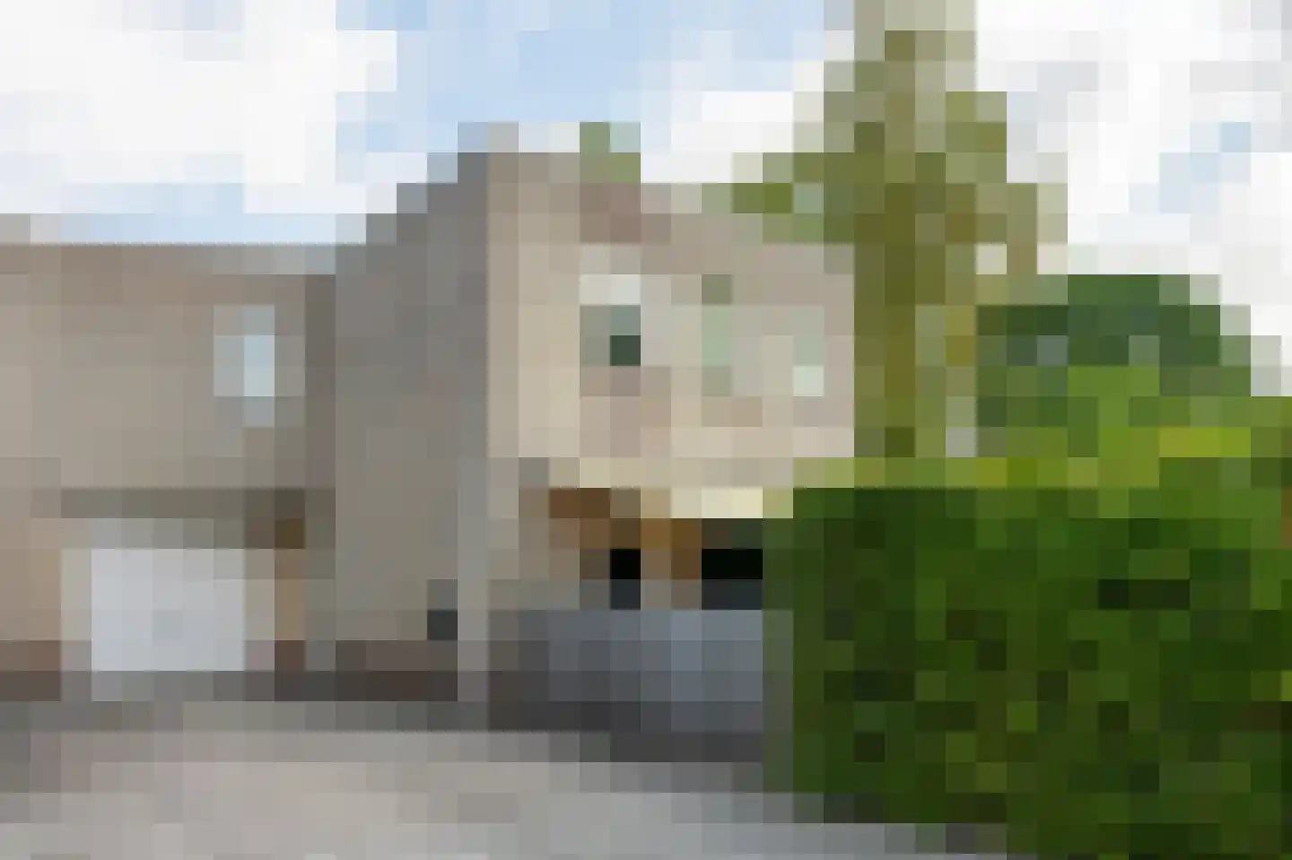 Kerkuil 68 Emmen thumbnail 43