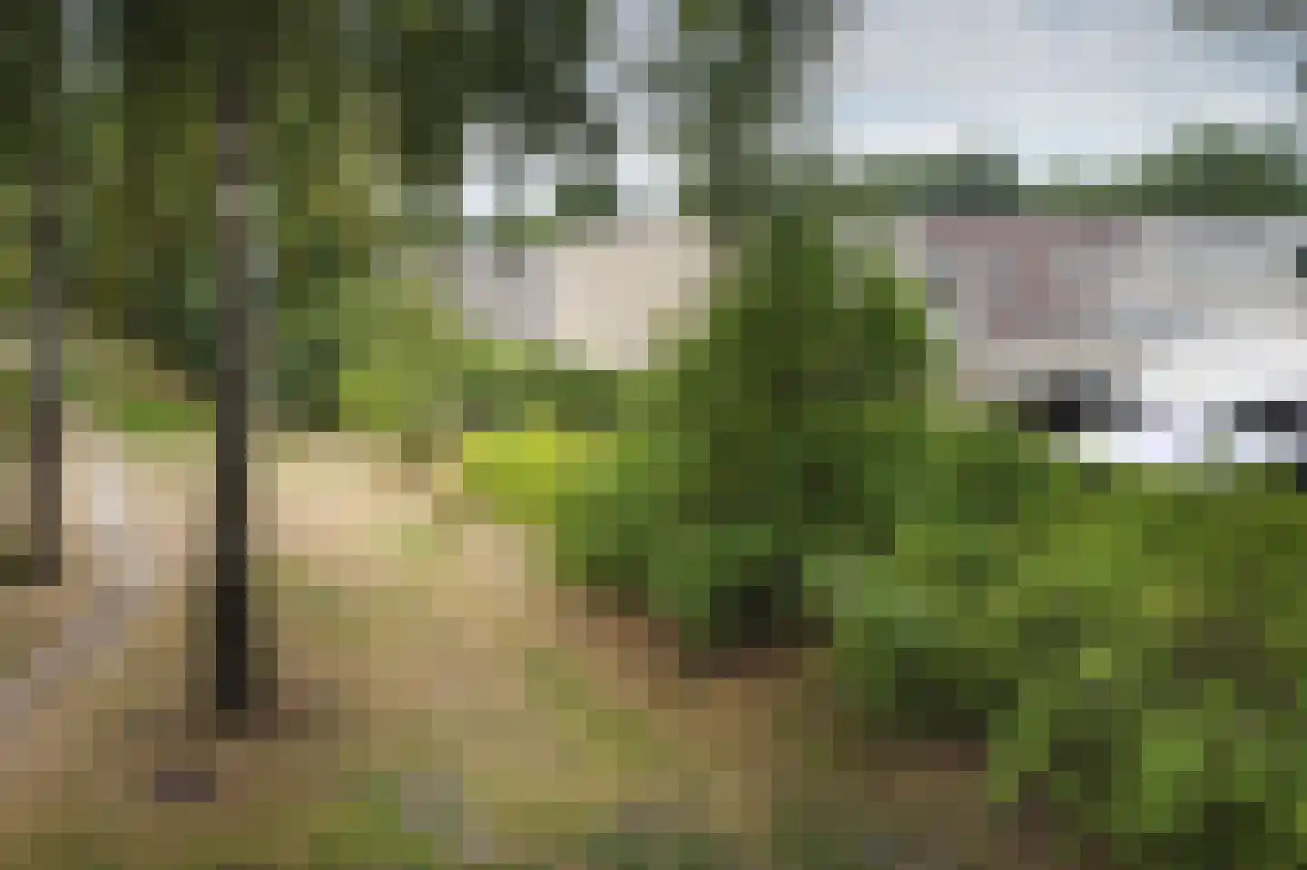 Kerkuil 68 Emmen thumbnail 51