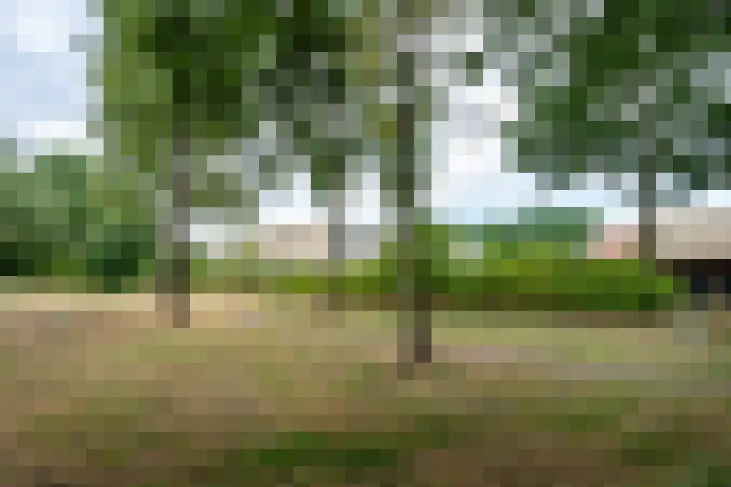 Kerkuil 68 Emmen thumbnail 53