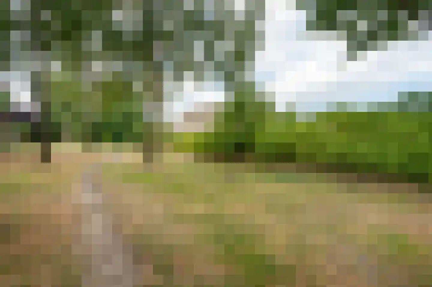 Kerkuil 68 Emmen thumbnail 55