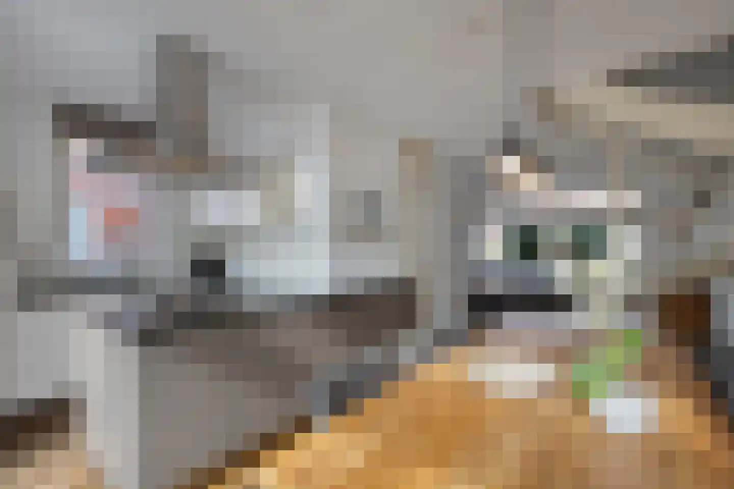 Kerkuil 9 Eijsden thumbnail 10