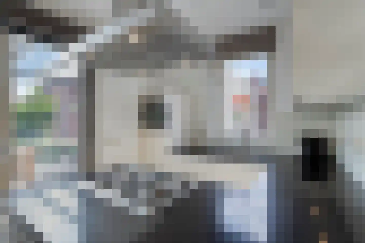 Kerkuil 9 Eijsden thumbnail 12