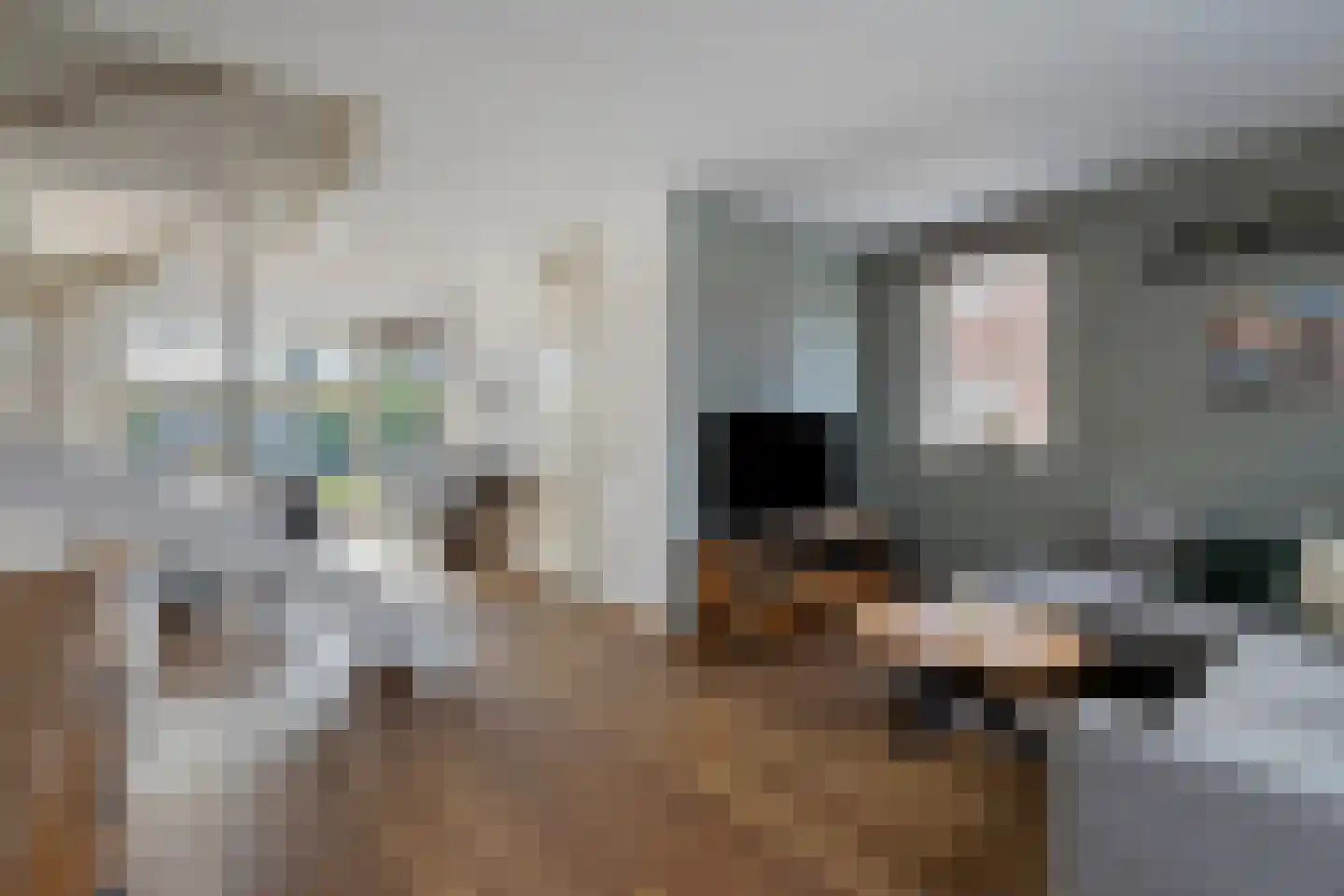 Kerkuil 9 Eijsden thumbnail 7