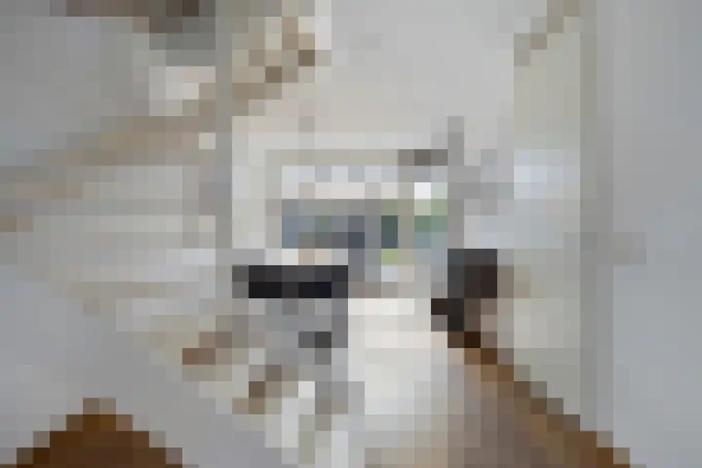 Kerkuil 9 Eijsden thumbnail 8