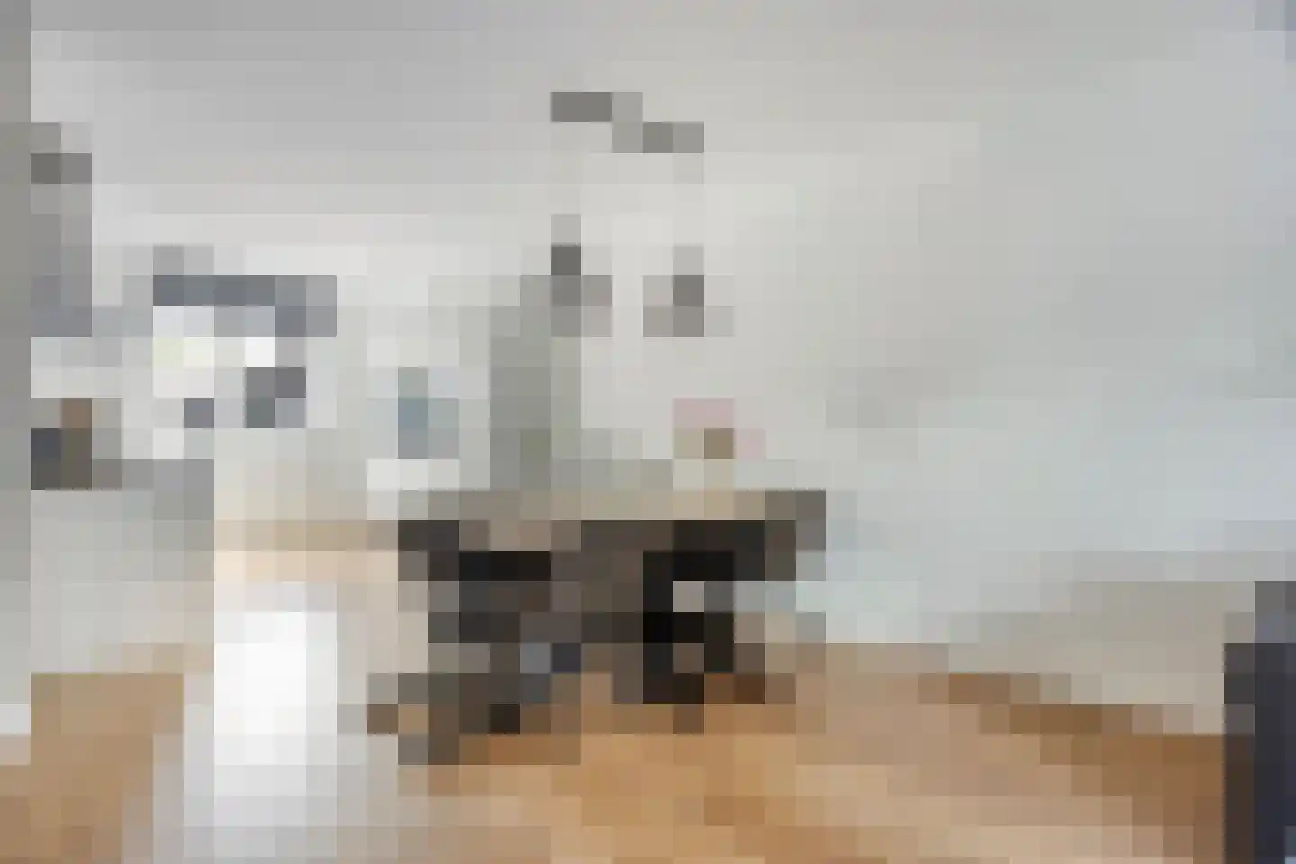 Kerkuillande 19 Pijnacker thumbnail 11