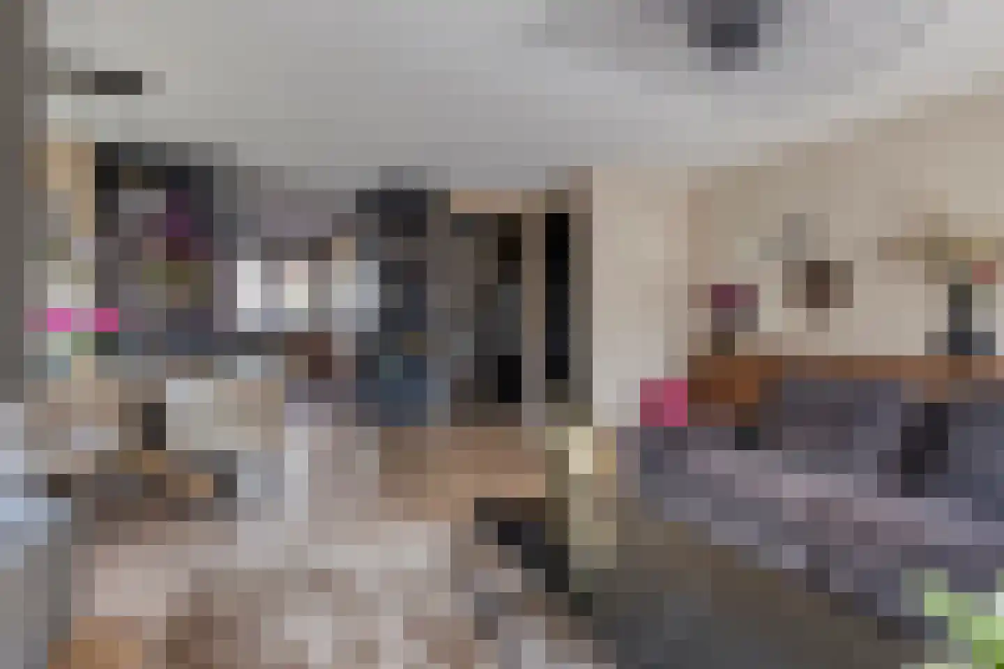Kerkuillande 21 Pijnacker thumbnail 13