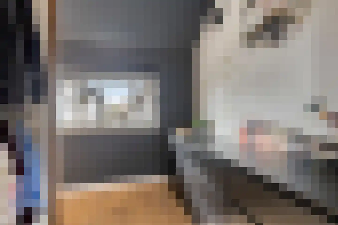 Kerkuillande 21 Pijnacker thumbnail 22