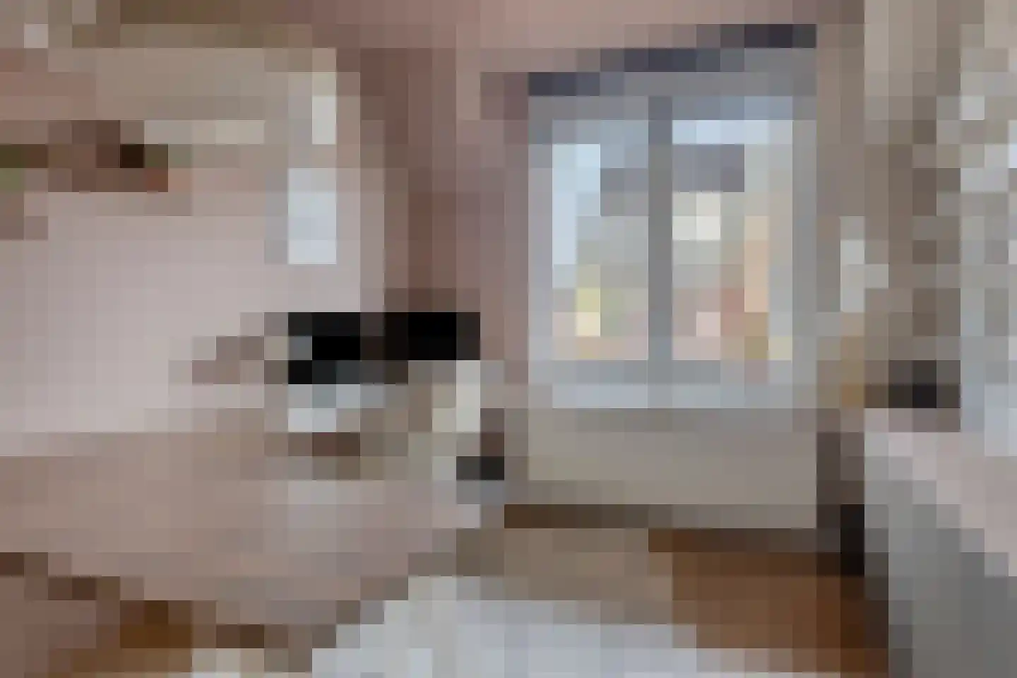 Kerkuillande 21 Pijnacker thumbnail 25