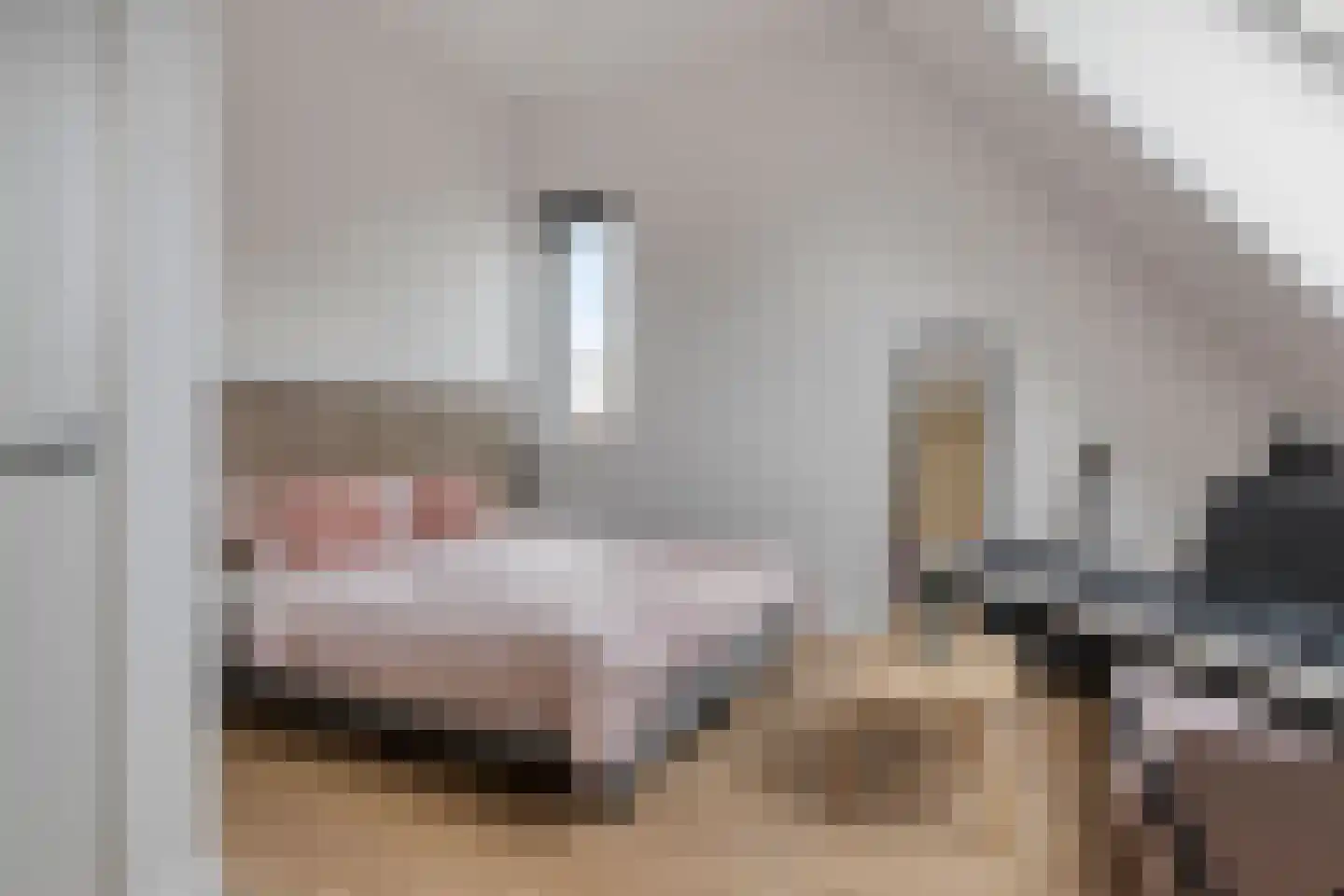 Kerkuillande 21 Pijnacker thumbnail 28