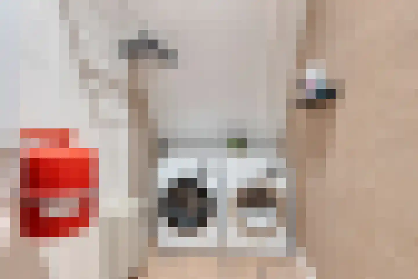 Kerkuillande 21 Pijnacker thumbnail 32