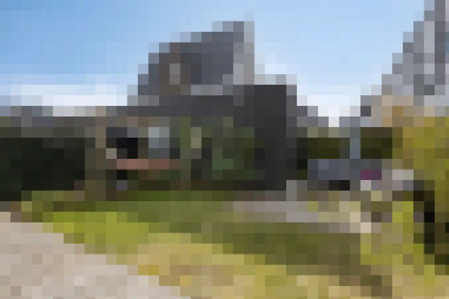 Kerkuillande 21 Pijnacker thumbnail 33