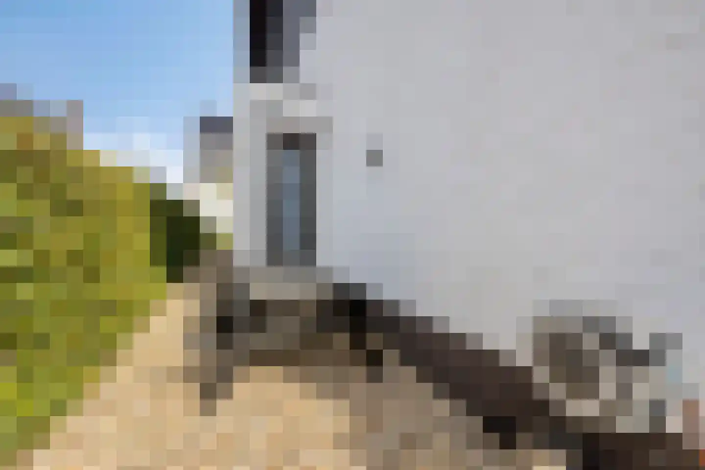 Kerkuillande 21 Pijnacker thumbnail 34