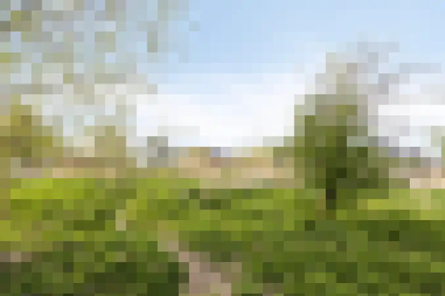 Kerkuillande 21 Pijnacker thumbnail 42