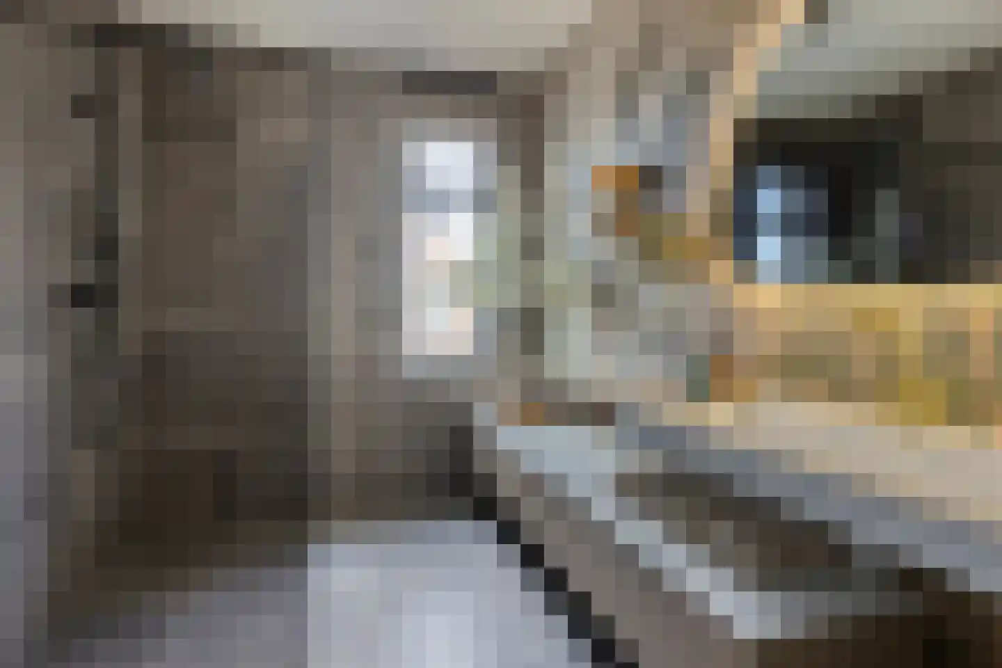 Kerkuillande 21 Pijnacker thumbnail 5