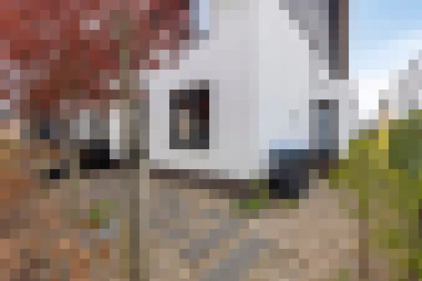Kerkuillande 21 Pijnacker thumbnail 8
