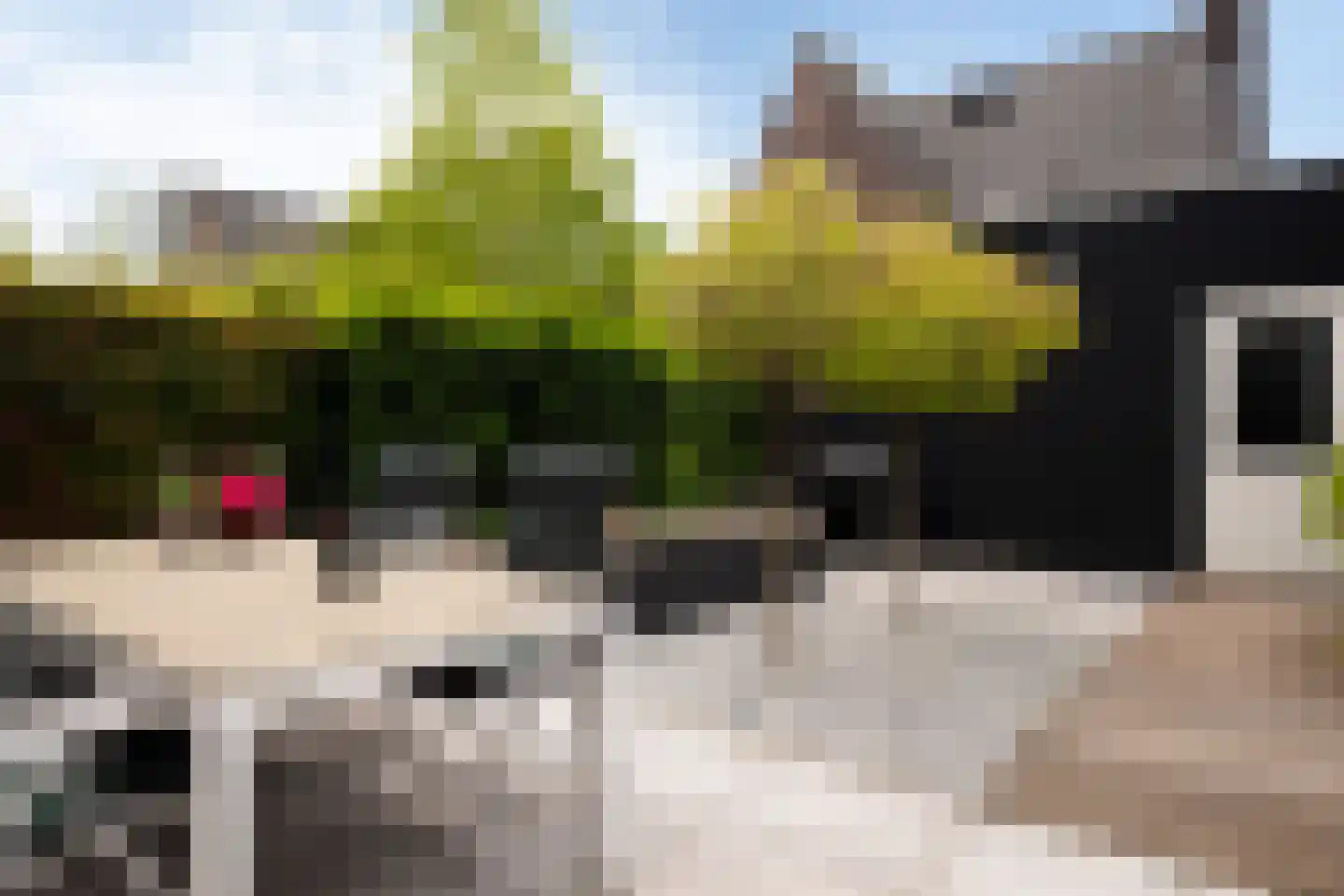Kerkuillande 33 Pijnacker thumbnail 13
