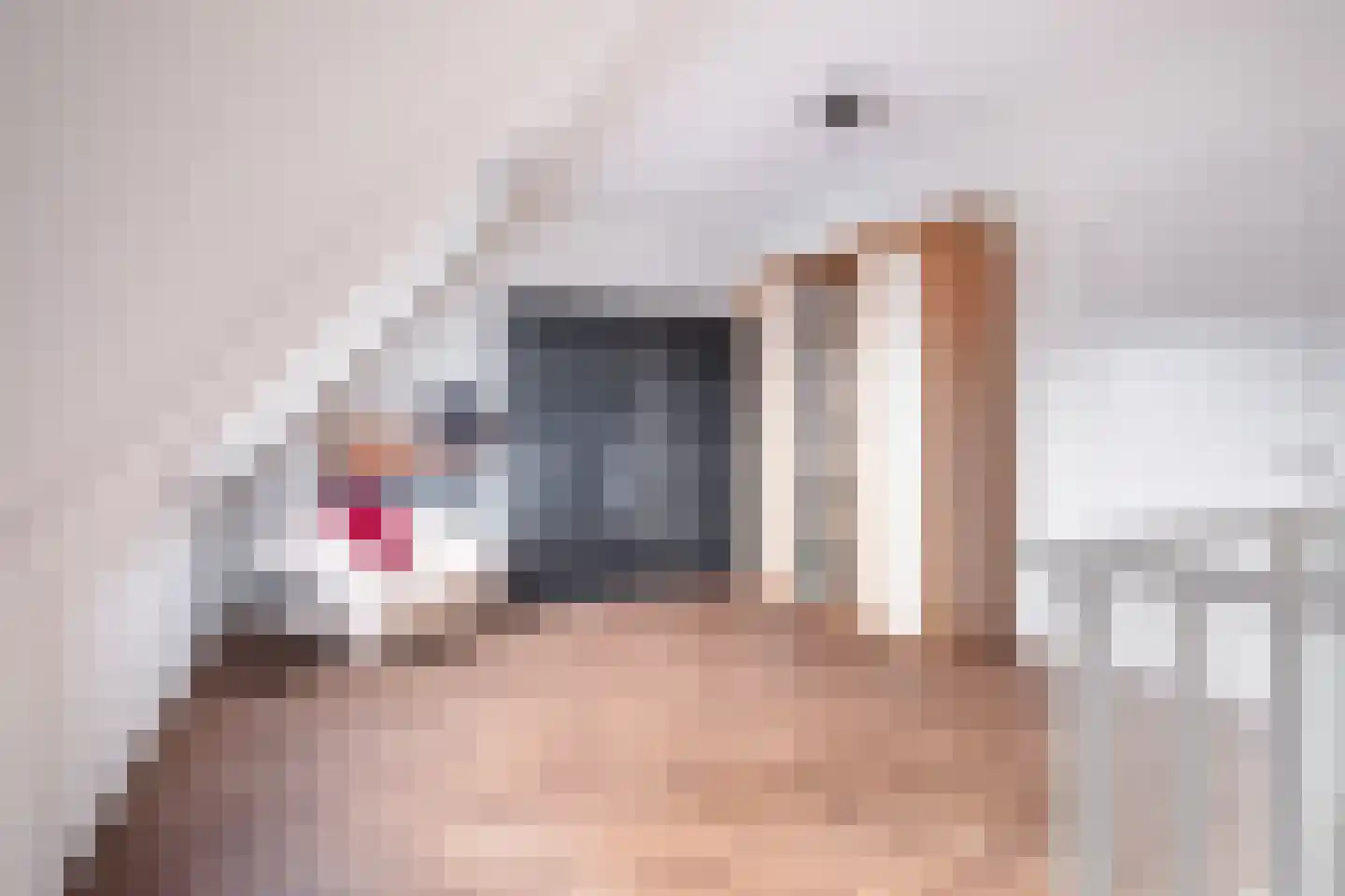 Kerkuillande 33 Pijnacker thumbnail 33