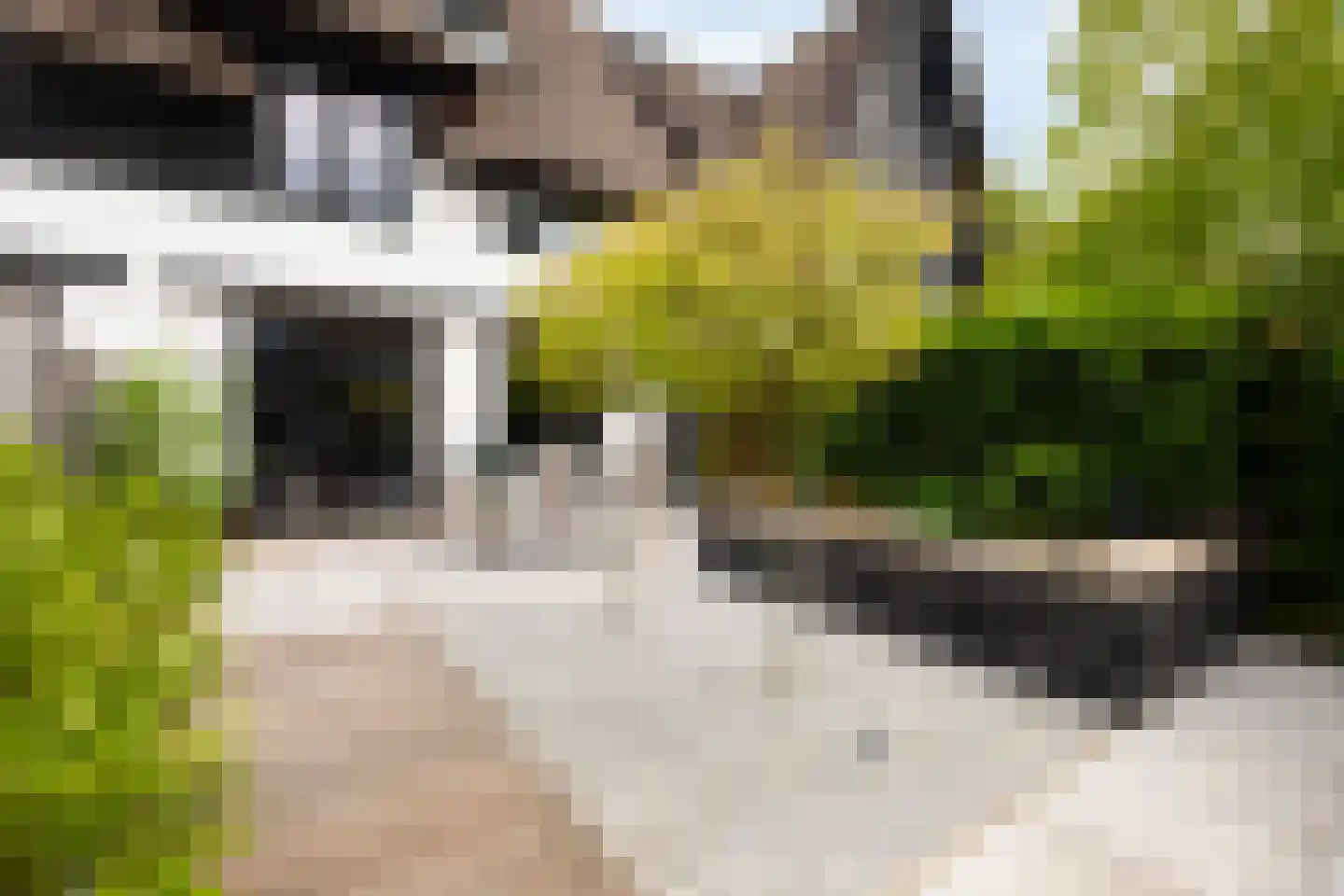 Kerkuillande 33 Pijnacker thumbnail 4