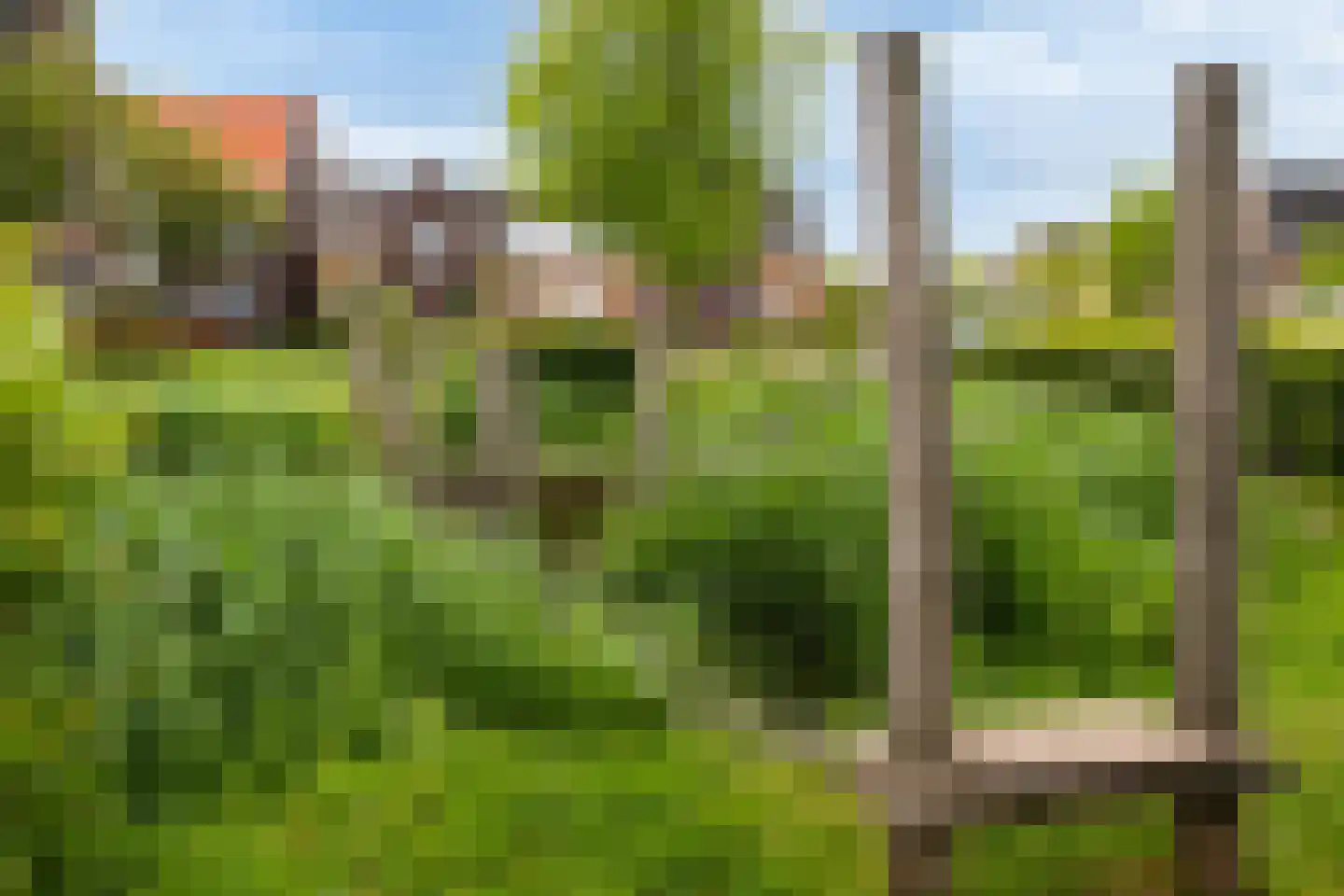 Kerkuillande 33 Pijnacker thumbnail 41