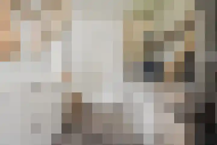 Kerkveld 13 Meijel thumbnail 14