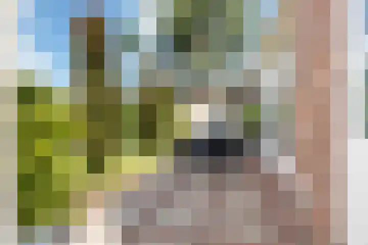 Kerkveld 13 Meijel thumbnail 26