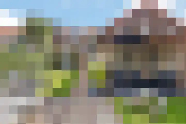 Kerkveld 13 Meijel thumbnail 29