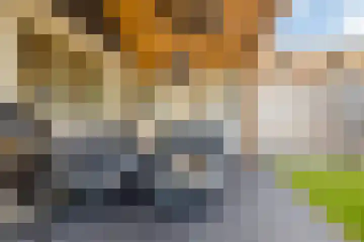 Kerkveld 13 Meijel thumbnail 31