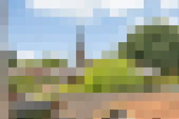 Kerkveld 13 Meijel thumbnail 36