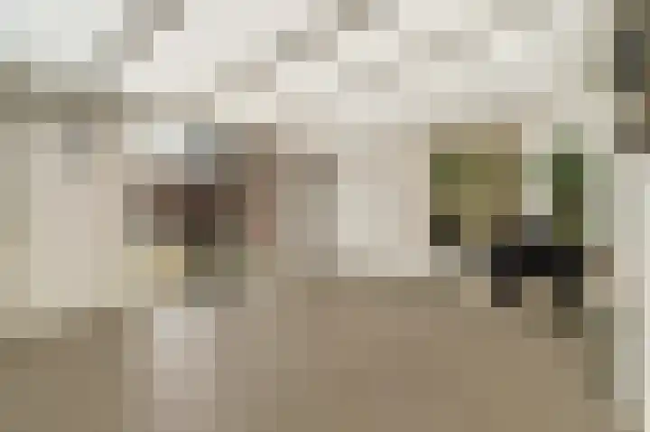Kerkveld 17 Meijel thumbnail 30
