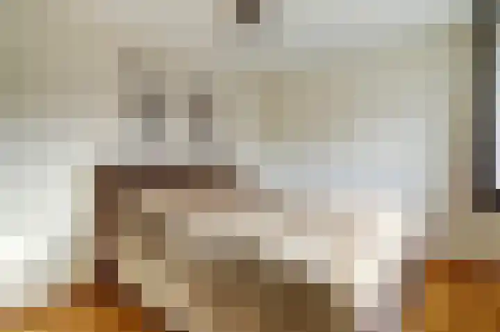 Kerkveld 17 Meijel thumbnail 4