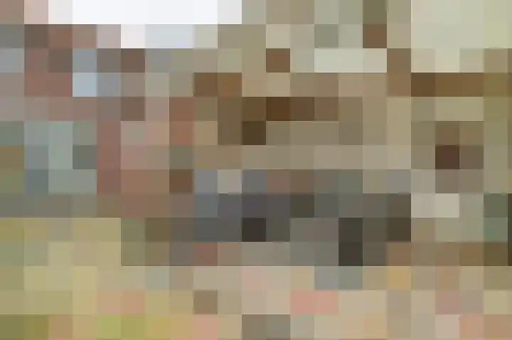 Kerkveld 17 Meijel thumbnail 5