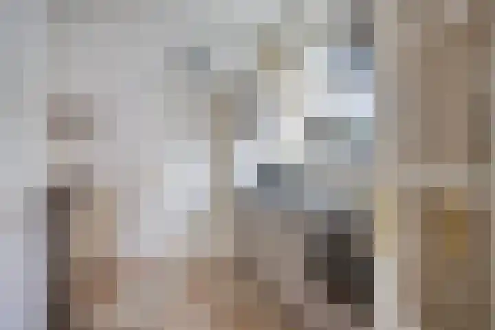 Kerkveld 19 Meijel thumbnail 15
