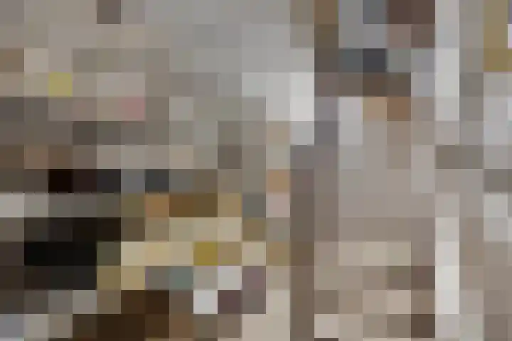 Kerkveld 19 Meijel thumbnail 33