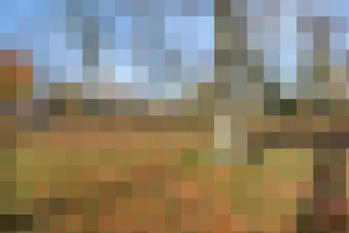 Kerkveld 19 Meijel thumbnail 46