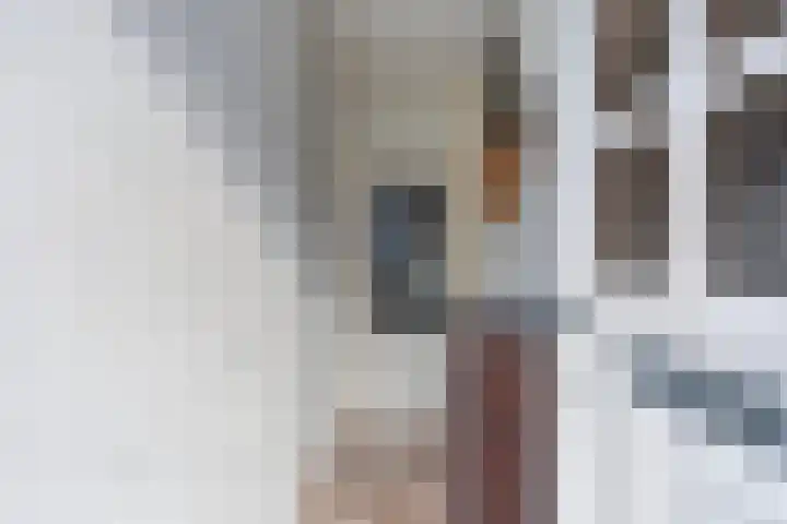 Kerkveld 19 Meijel thumbnail 5
