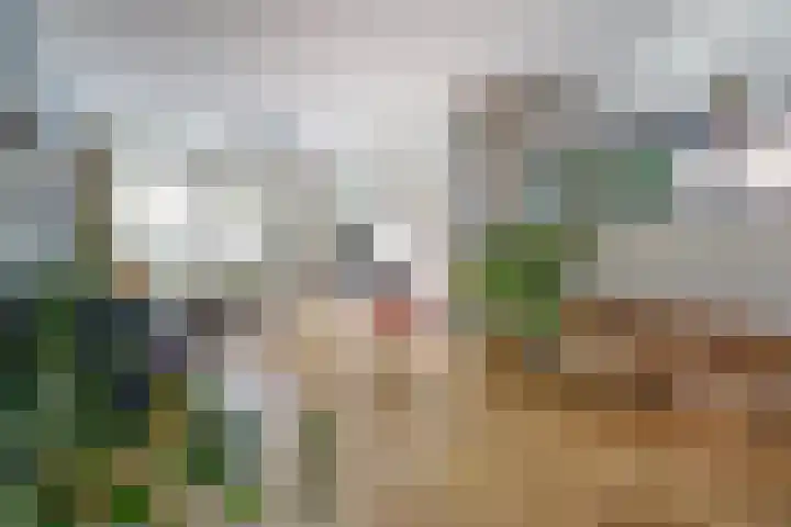 Kerkveld 2 Schimmert thumbnail 25