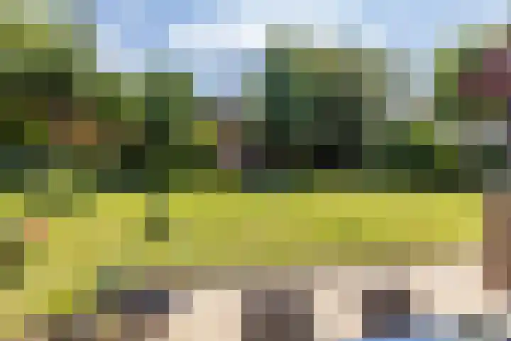 Kerkveld 2 Schimmert thumbnail 32