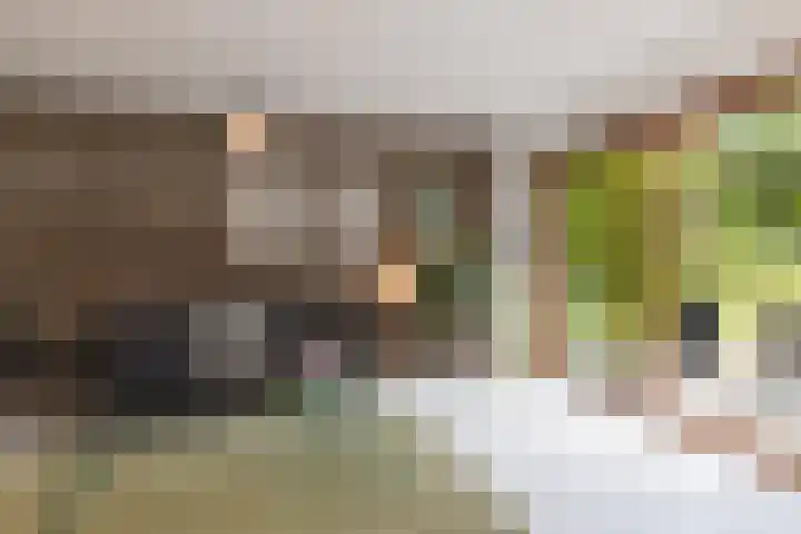 Kerkveld 2 Schimmert thumbnail 5