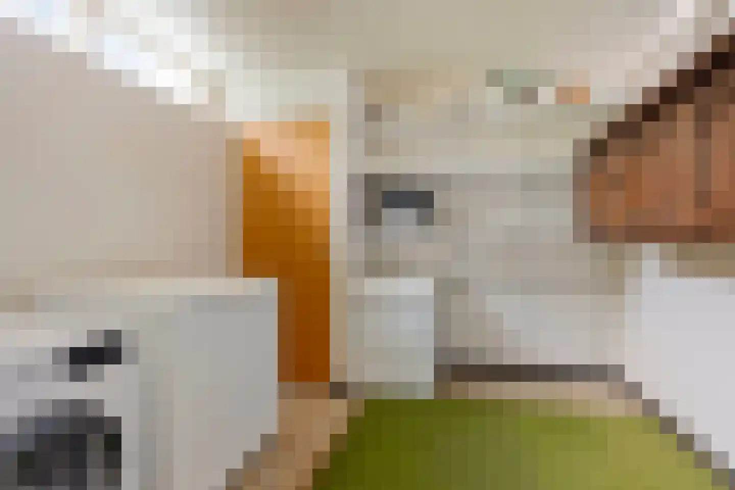 Kerkveld 28 Nistelrode thumbnail 24